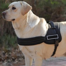 Pettorina per cani regolabile SportsDog Pettorina per cani regolabile SportsDog