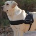 Pettorina per cani regolabile SportsDog Pettorina per cani regolabile SportsDog