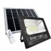 Faro led con pannello solare energia rinnovabile 100W Faro led con pannello solare energia rinnovabile 100W