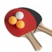 SET RACCHETTE PING PONG CON 3 PALLINE 99043 SET RACCHETTE PING PONG CON 3 PALLINE 99043
